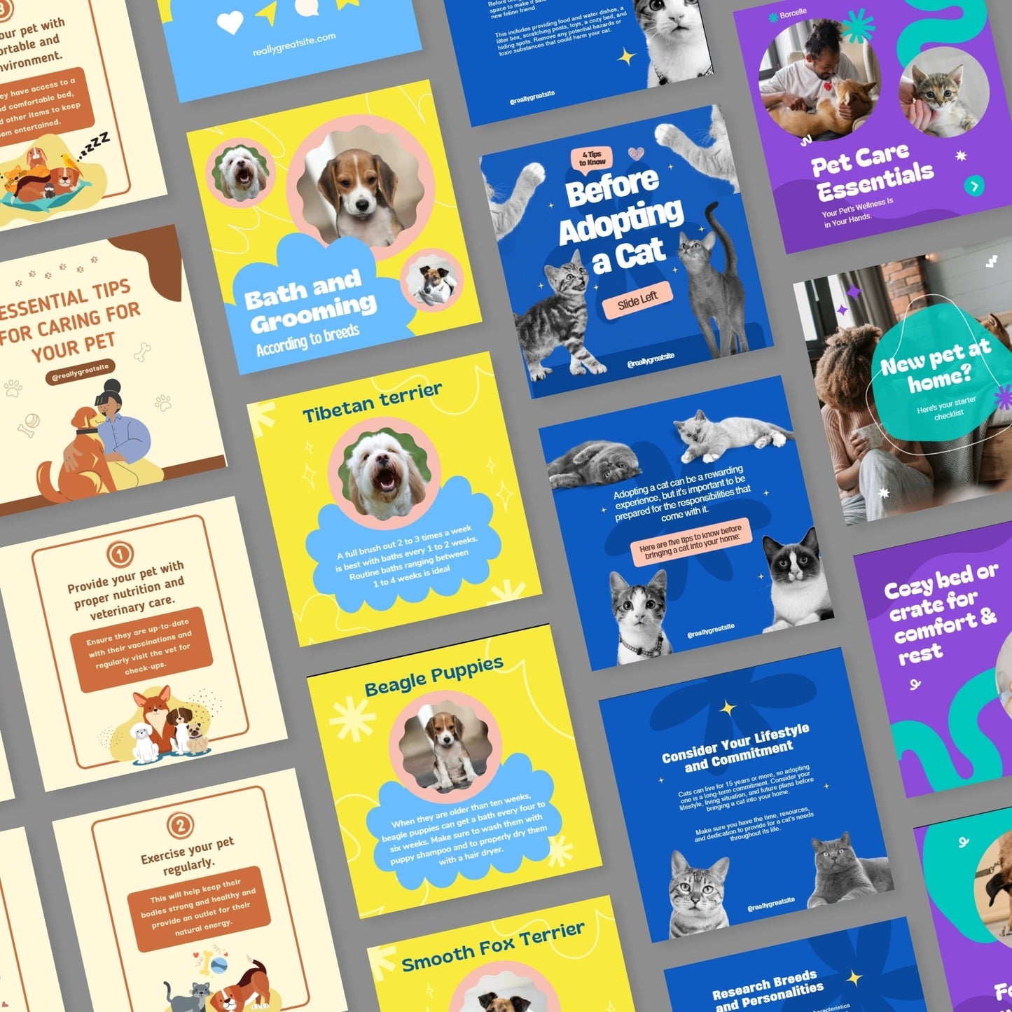 110+ Budget Boost Pet Templates: Reels, Posts, Carousels & Highlights for Instant Download